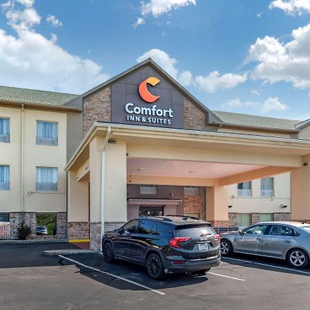 Comfort Inn & Suites Синсинати Екстериор снимка